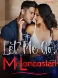 Let Me Go, Mr.Lancaster! Novel Cover
