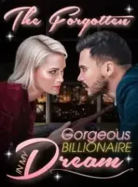 The Forgotten Gorgeous Billionaire in My Dream Novel Cover