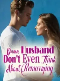 Damn Husband, Don’t Even Think About Remarrying! Novel Cover