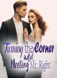 Turning the Corner and Meeting Mr. Right Novel Cover