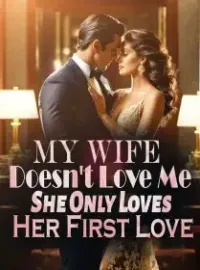 My Wife Doesn't Love Me, She Only Loves Her First Love Novel Cover