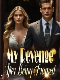 My Revenge After Being Framed