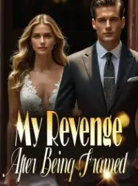 My Revenge After Being Framed Novel Cover