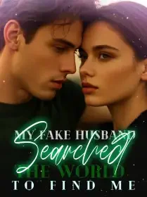 My Fake Husband Searched the World to Find Me Novel Cover