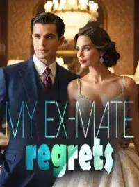 My Ex-mate Regrets Novel Cover