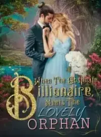 When The Obstinate Billionaire Meets The Lovely Orphan Novel Cover