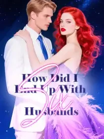 How Did I End Up With Six Husbands Novel Cover