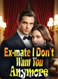 Ex-mate, I Don't Want You Anymore Novel Cover