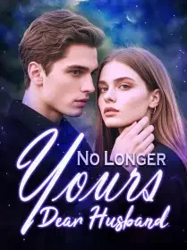 No Longer Yours, Dear Husband Novel Cover