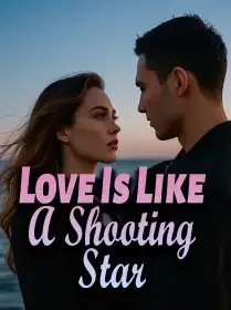 Love Is Like A Shooting Star Novel Cover