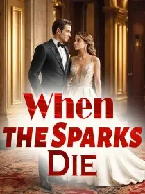 When the Sparks Die Novel Cover