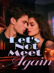 Let's Not Meet Again Novel Cover