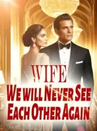 Wife, We will Never See Each Other Again Novel Cover