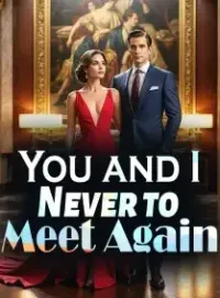 You and I, Never to Meet Again Novel Cover
