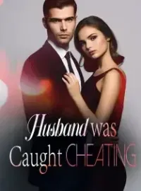 Husband was Caught Cheating Novel Cover