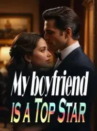 My boyfriend is a Top Star Novel Cover