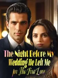 The Night Before My Wedding, He Left Me for His First Love Novel Cover