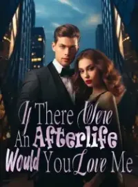 If There Were An Afterlife, Would You Love Me? Novel Cover