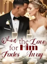 When the Love for Him Fades Away Novel Cover