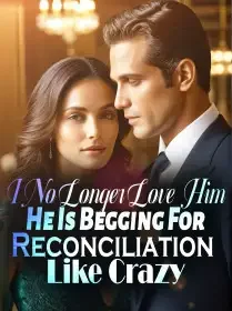 I No Longer Love Him, He Is Begging For Reconciliation Like Crazy Novel Cover