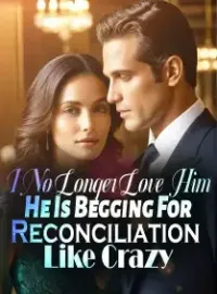 I No Longer Love Him, He Is Begging For Reconciliation Like Crazy Novel Cover