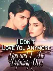 I Don’t Love You Anymore. You and I Are Definitely Over! Novel Cover
