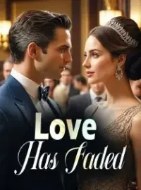 Love Has Faded Novel Cover