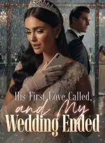 His First Love Called, and My Wedding Ended Novel Cover