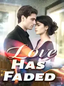 Love Has Faded Novel Cover
