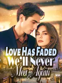 Love Has Faded, We’ll Never Meet Again Novel Cover