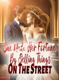 She Made Her Fortune By Selling Things On The Street Novel Cover