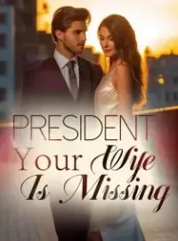 President, Your Wife Is Missing! Novel Cover