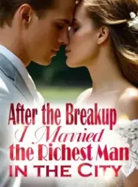 After the Breakup, I Married the Richest Man in the City Novel Cover