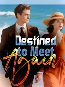 Destined to Meet Again Novel Cover