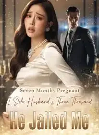 Seven Months Pregnant, I Stole Husband's Three Thousand, He Jailed Me Novel Cover