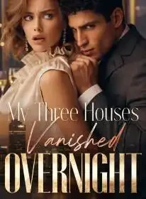 My Three Houses Vanished Overnight Novel Cover