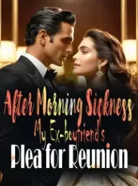 After Morning Sickness: My Ex-boyfriend's Plea for Reunion Novel Cover