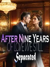 After Nine Years of Love, We Still Separated Novel Cover