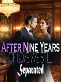 After Nine Years of Love, We Still Separated Novel Cover