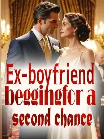 Ex-boyfriend, begging for a second chance Novel Cover