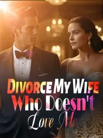 Divorce My Wife Who Doesn't Love Me Novel Cover