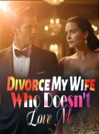 Divorce My Wife Who Doesn't Love Me Novel Cover