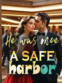 He was once a safe harbor Novel Cover