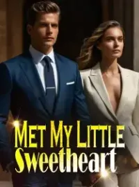 Met My Little Sweetheart Novel Cover