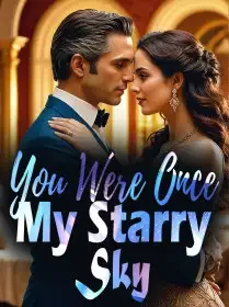 You Were Once My Starry Sky Novel Cover