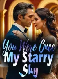 You Were Once My Starry Sky Novel Cover