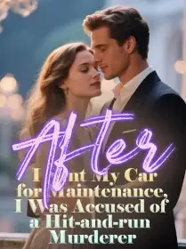 After I Sent My Car for Maintenance, I Was Accused of a Hit-and-run Murderer Novel Cover