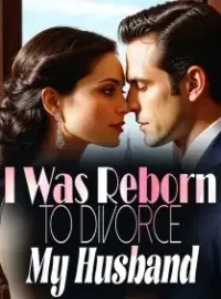 I Was Reborn to Divorce My Husband Novel Cover