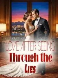 Love After Seeing Through the Lies Novel Cover