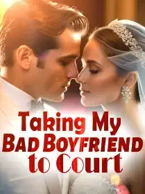 Taking My Bad Boyfriend to Court Novel Cover
